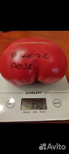 Семена томатов