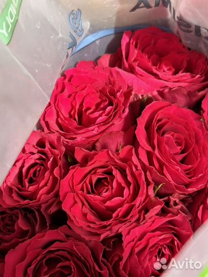 Розы цветы букеты Саранск доставка