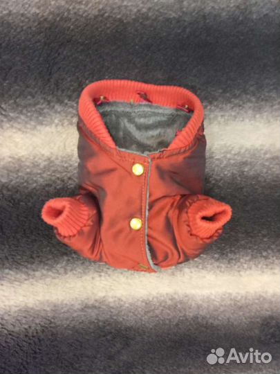 Одежда для собак