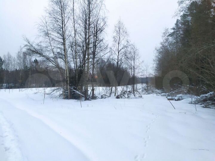 Участок 1,6 га (СНТ, ДНП)