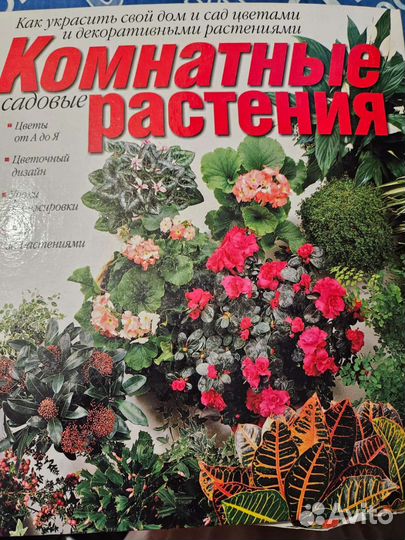 Энциклопедия комнатные растения
