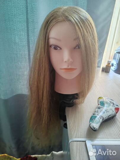 Голова учебная