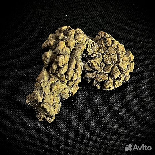 Копролит хищного динозавра окаменелость ископаемое