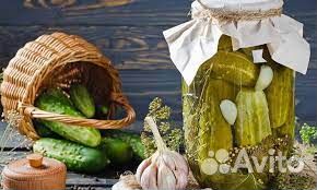 Упаковщик овощей. Проживание/питание