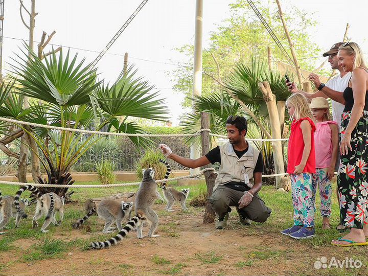 Экскурсия — Дубай — Чарующий Аль-Айн