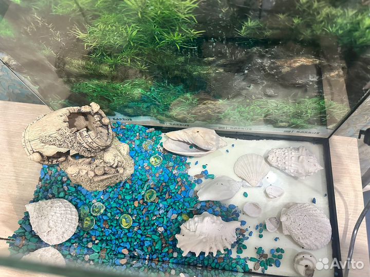 Аквариум+ фильтр-кислород+ аксессуары