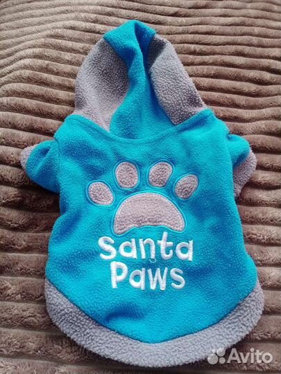 Вещи на маленькую собачку