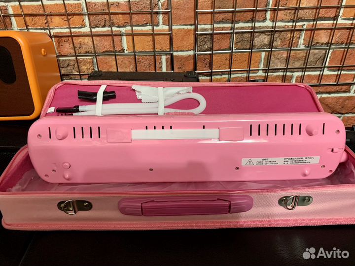 Мелодика (комплект)