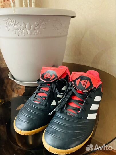 Футзалки adidas