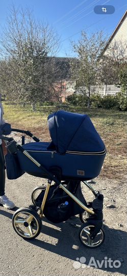 Коляска 2 в 1 Adamex reggio Y826