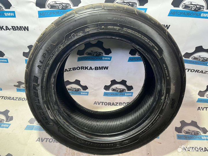 Accelera Alpha 225/55 R16 99W