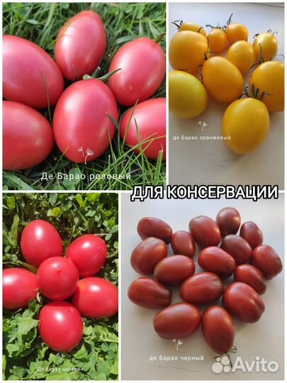 Семена коллекционные томаты и перцы