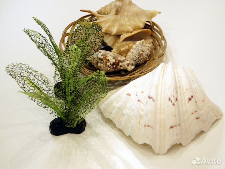 Дектор для аквариума, с имитацией Моха. Горошки