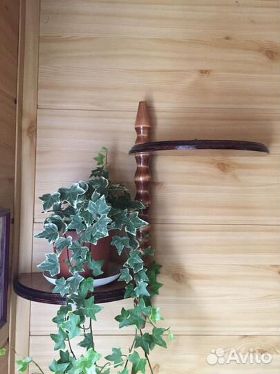 Подставка для цветов настенная