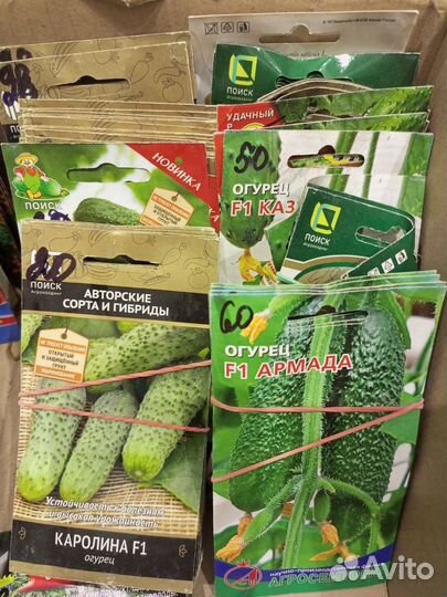 Семена на рассаду