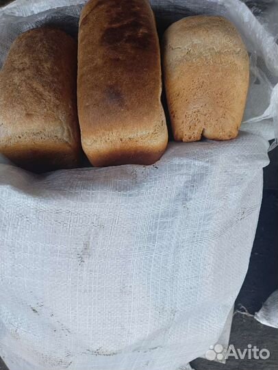 Корма для животных