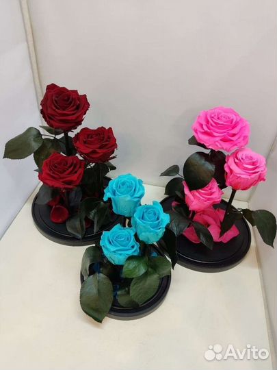 Цветы оптом