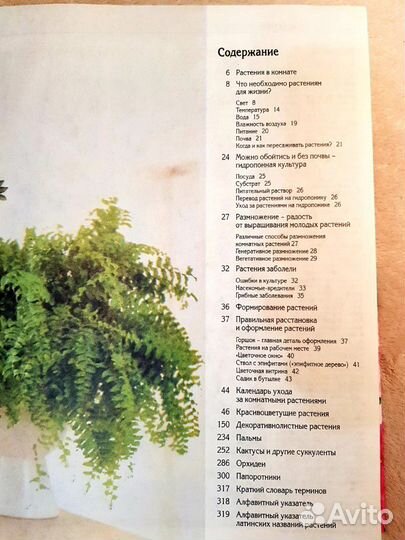 Энциклопедия комнатных растений