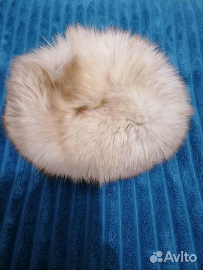 Шкурка песца