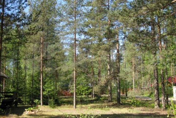 Дом 81 м² на участке 12 сот.