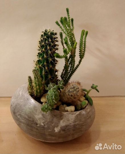 Мини - садик