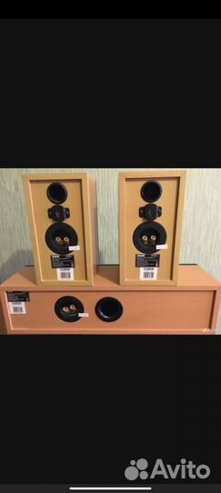 Акустическая система