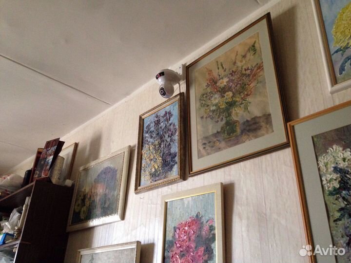 IP-Видеокамеры, установка и настройка