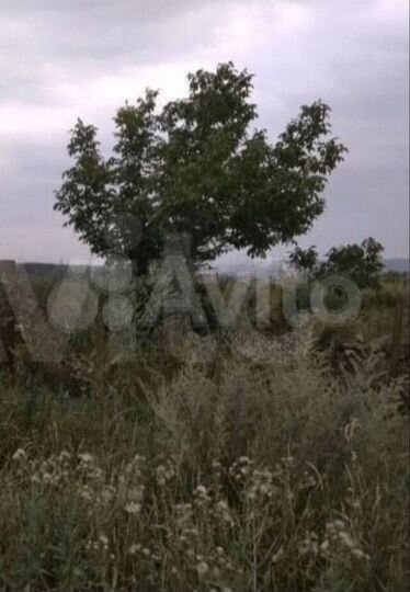 Участок 5 сот. (ИЖС)