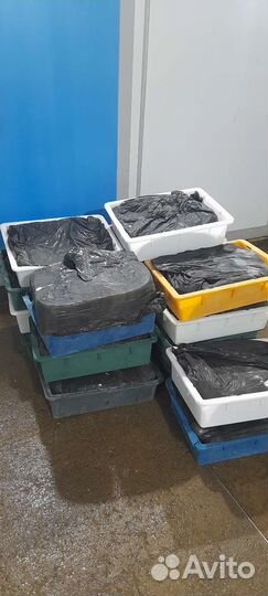 Творог оптом