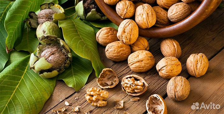 Саженцы орех грецский и персик нискорослый