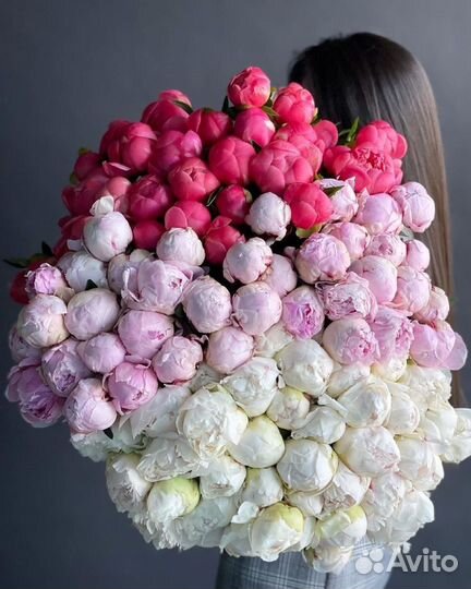 Пионы букет