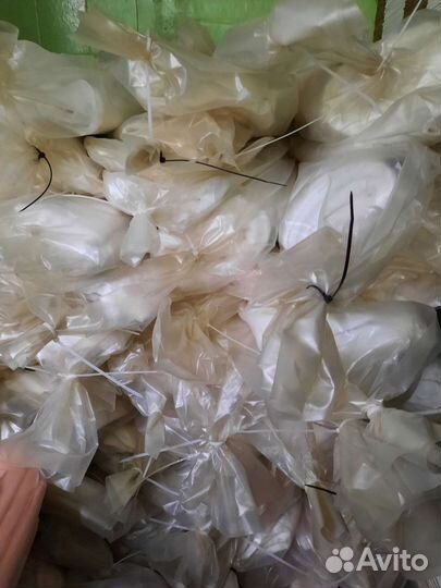 Ткань мадаполам, ситец