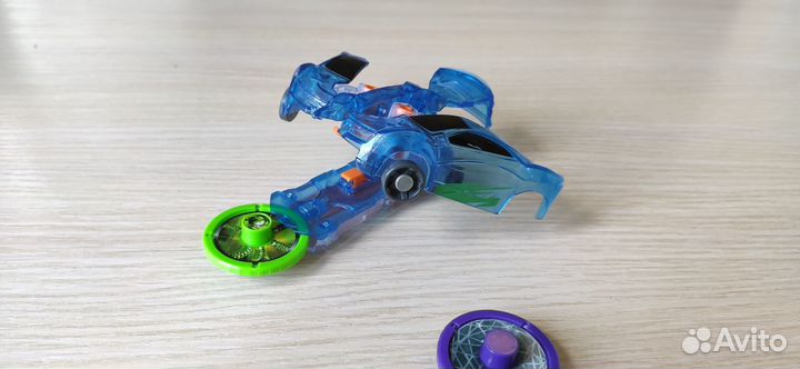 Дикий скричер