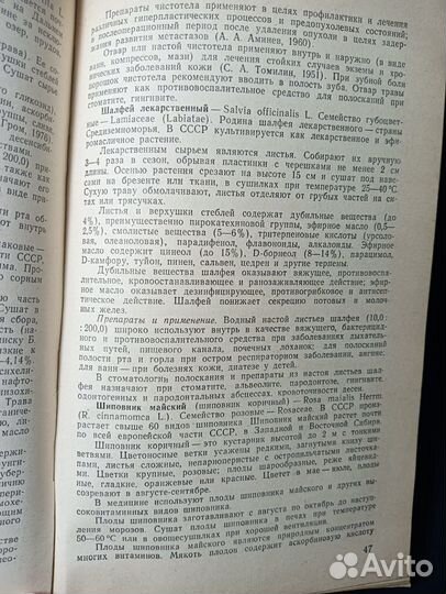 Фитотерапия в стоматологии