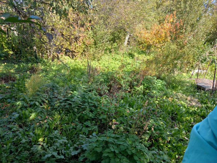 Дача 10 м² на участке 6 сот.