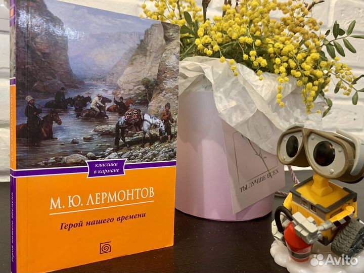 Книги пакетом русская классика школьная программа