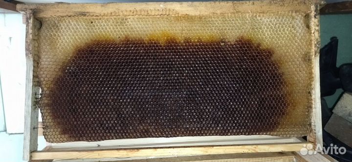 Сушь Рута на 230мм. рамки рута на 230мм