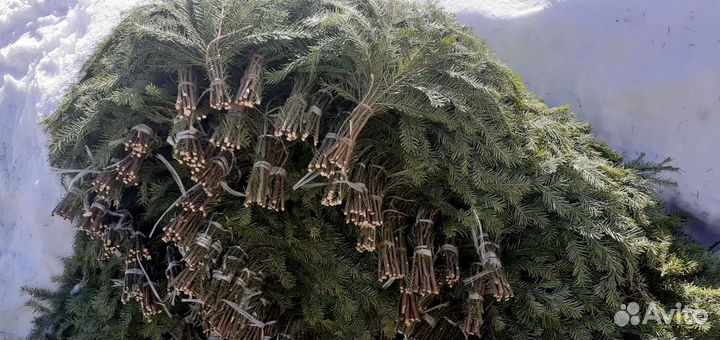 Веники пихтовые,можжевеловые