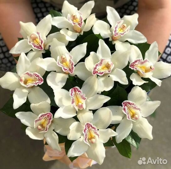 Букет из орхидей