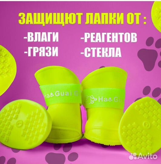 Обувь для питомцев