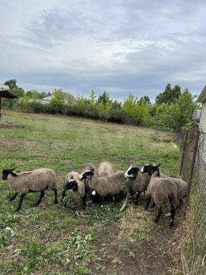 Участок 12 сот. (ИЖС)