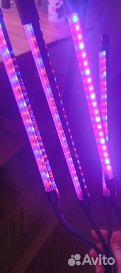 Лампы для досветки растений