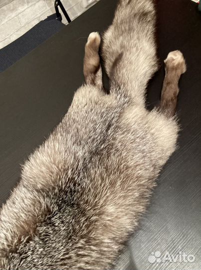 Горжетка из чернобурки