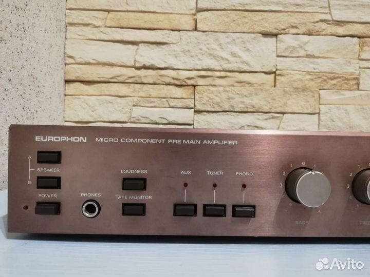 Усилитель Europhon TA88