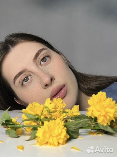 Мастер бровист