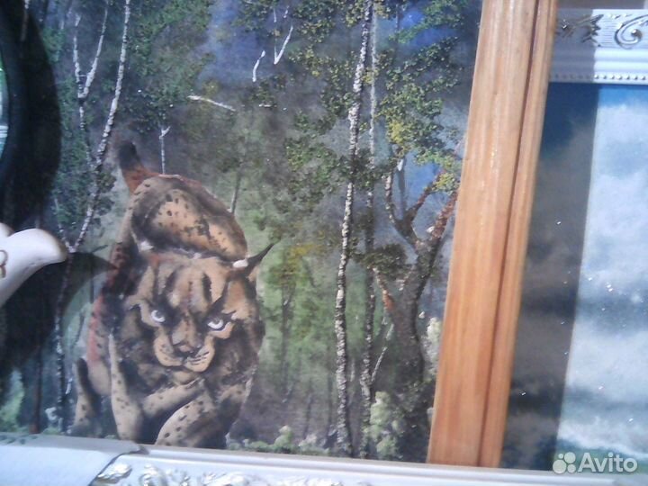 Тигры и,магниты,новосибир