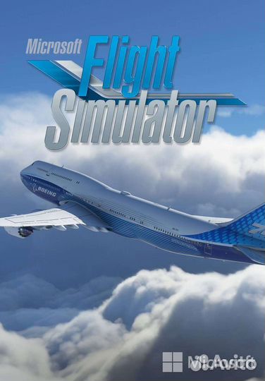 Microsoft Flight Simulator