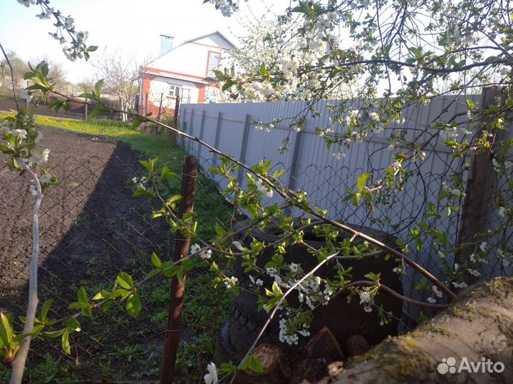 Мастер на час