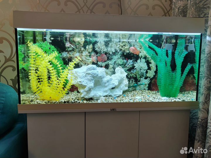 Аквариум с тумбой juwel 180 литров