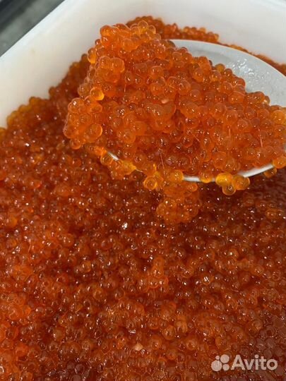 Красная икра оптом